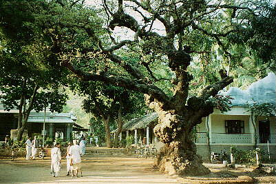 Ramansramam